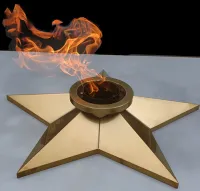 Звезда ø 800 мм. (1631) сертификат комплект горелка ГВД 379 10 89 00 ПС вечный огонь пустотелая  в Кизеле