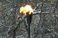 Факел садовый январь 2012 (197221) производство ø 65 мм. ветроустойчивая  в Кизеле