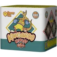 Батарея салютов Кенгуру ОС6035 купить от производителя Огненный Цветок — Кизел