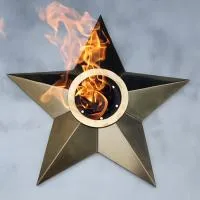 Звезда (газовая горелка) (1634) поставка комплект горелка ГВД 379 10 89 00 ПС - ø 1000 мм. ветроустойчивая  в Кизеле