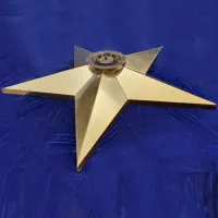Звезда вечный огонь (1628) поставка комплект горелка ГВД 379 10 89 00 ПС ø 1100 мм. пустотелая  в Кизеле
