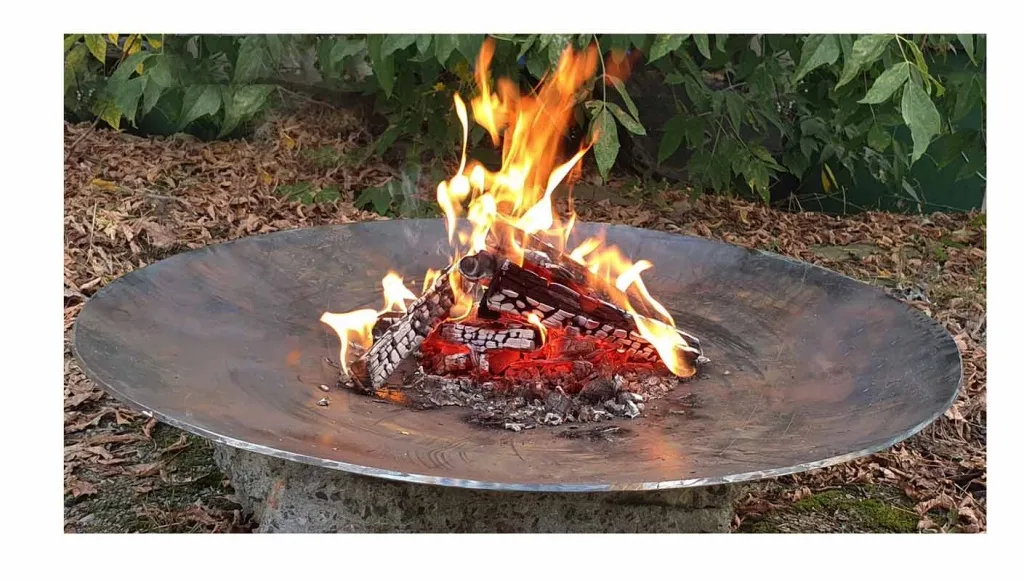 Кованная чаша для костра - авторский дизайн доставка в Кизел